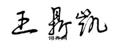 曾慶福王鼎凱草書個性簽名怎么寫