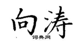 丁謙向濤楷書個性簽名怎么寫