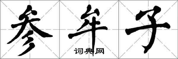 翁闓運參牟子楷書怎么寫