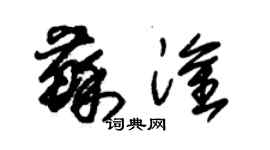 朱錫榮蘇淦草書個性簽名怎么寫