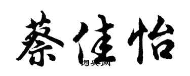 胡問遂蔡佳怡行書個性簽名怎么寫