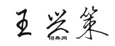 駱恆光王興策行書個性簽名怎么寫