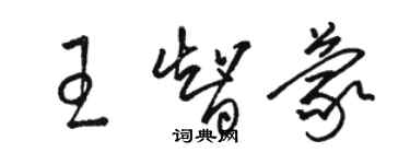 駱恆光王智蒙草書個性簽名怎么寫