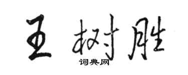 駱恆光王樹勝行書個性簽名怎么寫