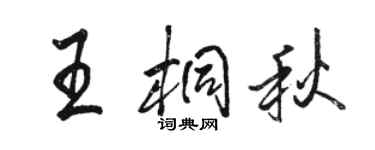 駱恆光王桐秋行書個性簽名怎么寫