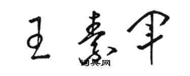 駱恆光王素軍草書個性簽名怎么寫