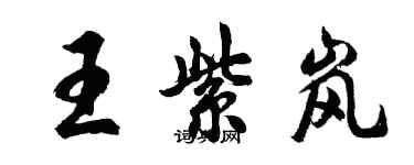 胡問遂王紫嵐行書個性簽名怎么寫