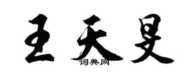 胡問遂王天旻行書個性簽名怎么寫