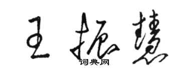 駱恆光王振慧草書個性簽名怎么寫