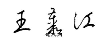 梁錦英王叢江草書個性簽名怎么寫
