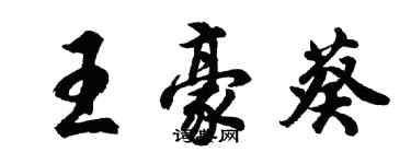 胡問遂王豪葵行書個性簽名怎么寫