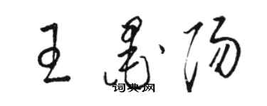 駱恆光王墨陽草書個性簽名怎么寫