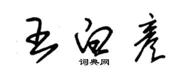 朱錫榮王白彥草書個性簽名怎么寫