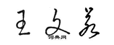 駱恆光王文若草書個性簽名怎么寫