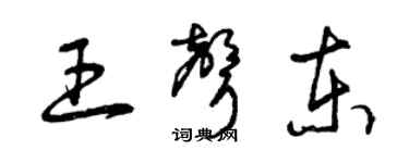 曾慶福王聲東草書個性簽名怎么寫