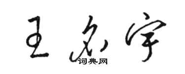 駱恆光王名宇草書個性簽名怎么寫