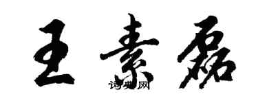 胡問遂王素磊行書個性簽名怎么寫