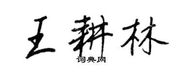 王正良王耕林行書個性簽名怎么寫