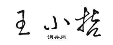 駱恆光王小哲草書個性簽名怎么寫
