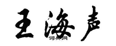 胡問遂王海聲行書個性簽名怎么寫