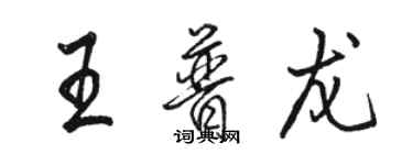 駱恆光王普龍行書個性簽名怎么寫