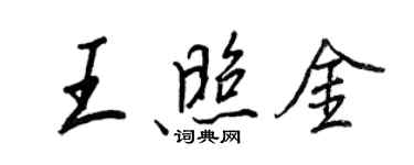 王正良王照金行書個性簽名怎么寫