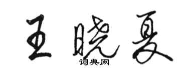 駱恆光王曉夏行書個性簽名怎么寫