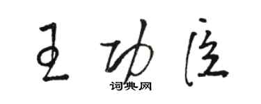 駱恆光王功臣草書個性簽名怎么寫