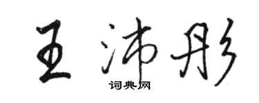 駱恆光王沛彤行書個性簽名怎么寫