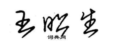 朱錫榮王昭生草書個性簽名怎么寫