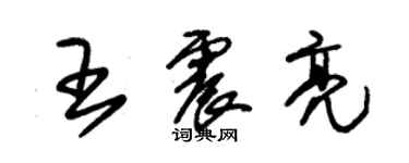 朱錫榮王震亮草書個性簽名怎么寫