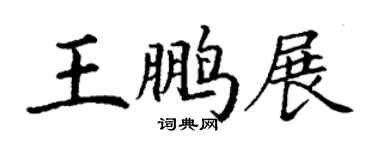 丁謙王鵬展楷書個性簽名怎么寫