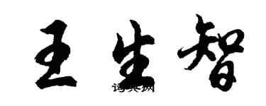 胡問遂王生智行書個性簽名怎么寫