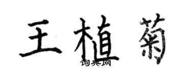 何伯昌王植菊楷書個性簽名怎么寫
