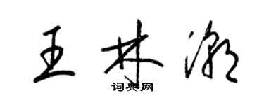 梁錦英王林潮草書個性簽名怎么寫