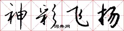 神彩飛揚怎么寫好看