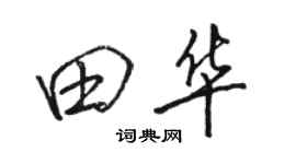 駱恆光田華行書個性簽名怎么寫