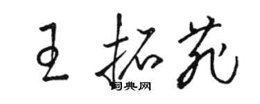 駱恆光王拓菲草書個性簽名怎么寫