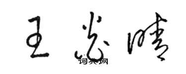 駱恆光王炎晴草書個性簽名怎么寫