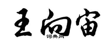 胡問遂王向宙行書個性簽名怎么寫