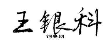 曾慶福王銀科行書個性簽名怎么寫