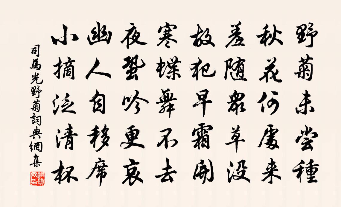 司馬光野菊書法作品欣賞