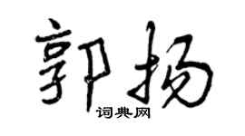 曾慶福郭揚行書個性簽名怎么寫
