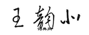 駱恆光王韻北草書個性簽名怎么寫