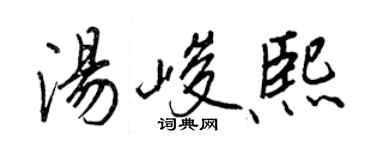王正良湯峻熙行書個性簽名怎么寫