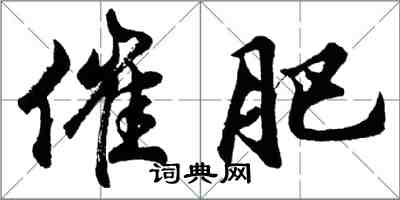 胡問遂催肥行書怎么寫