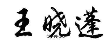 胡問遂王曉蓬行書個性簽名怎么寫