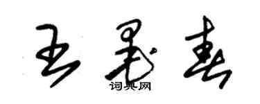 朱錫榮王墨春草書個性簽名怎么寫