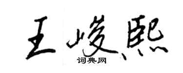 王正良王峻熙行書個性簽名怎么寫