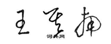 駱恆光王其南草書個性簽名怎么寫